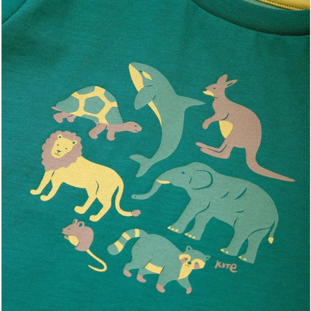 Animal Planet T-Shirt 4