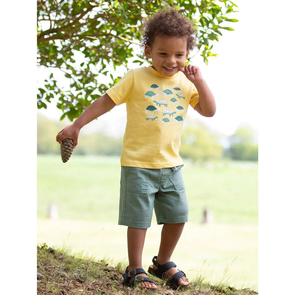 Giant Tortoise T-Shirt 2