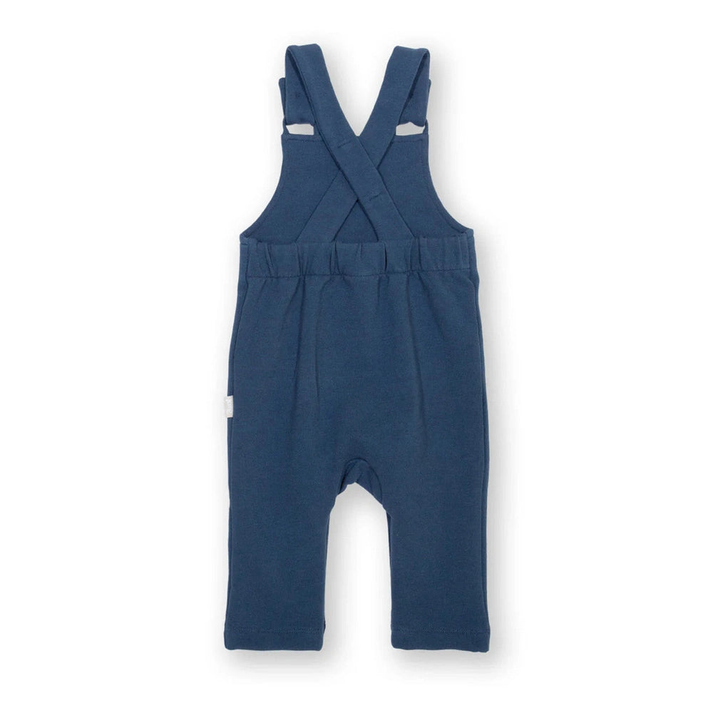 Snuggle Bear Dungarees 4