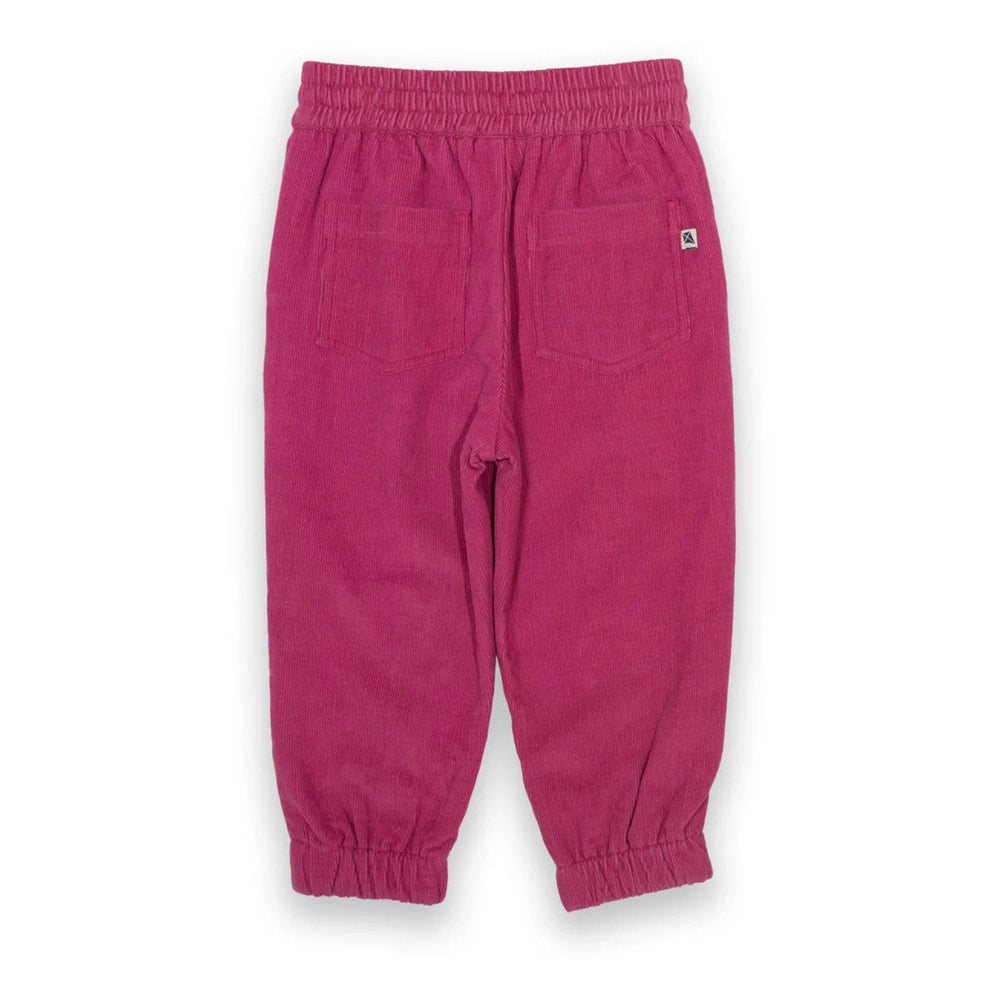 Cosy Cords - Berry 3