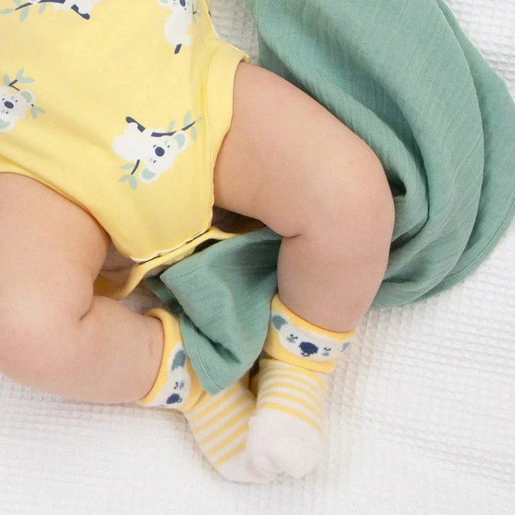 Koala Time Socks 4