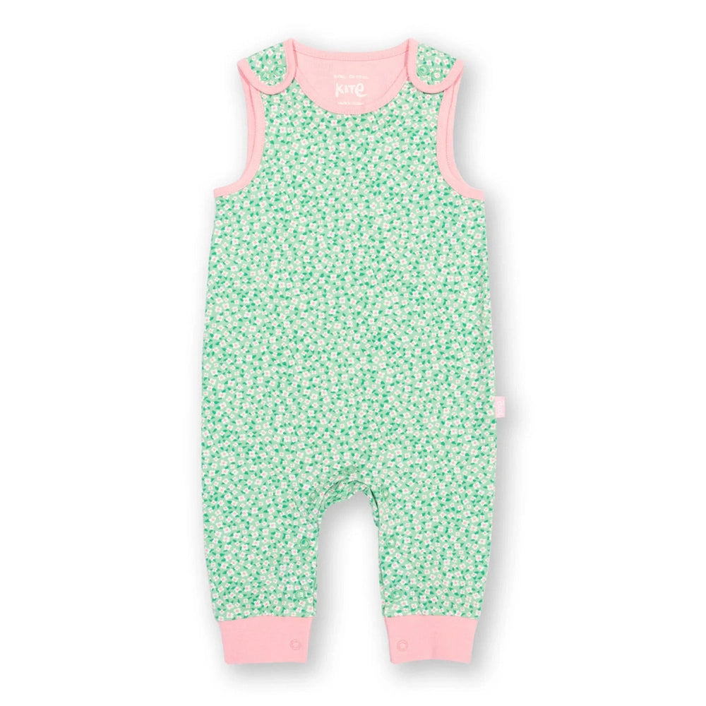 Dinky Ditsy Dungarees Mint 1