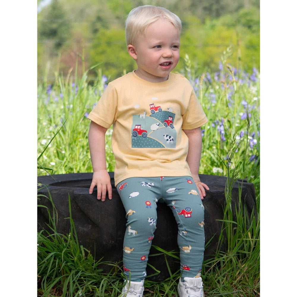 County Show Leggings 2