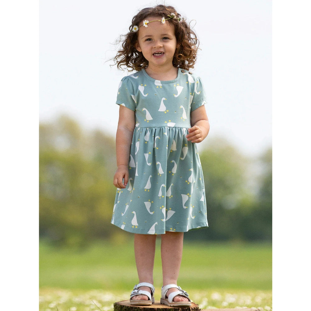 Little Goose Dress 3