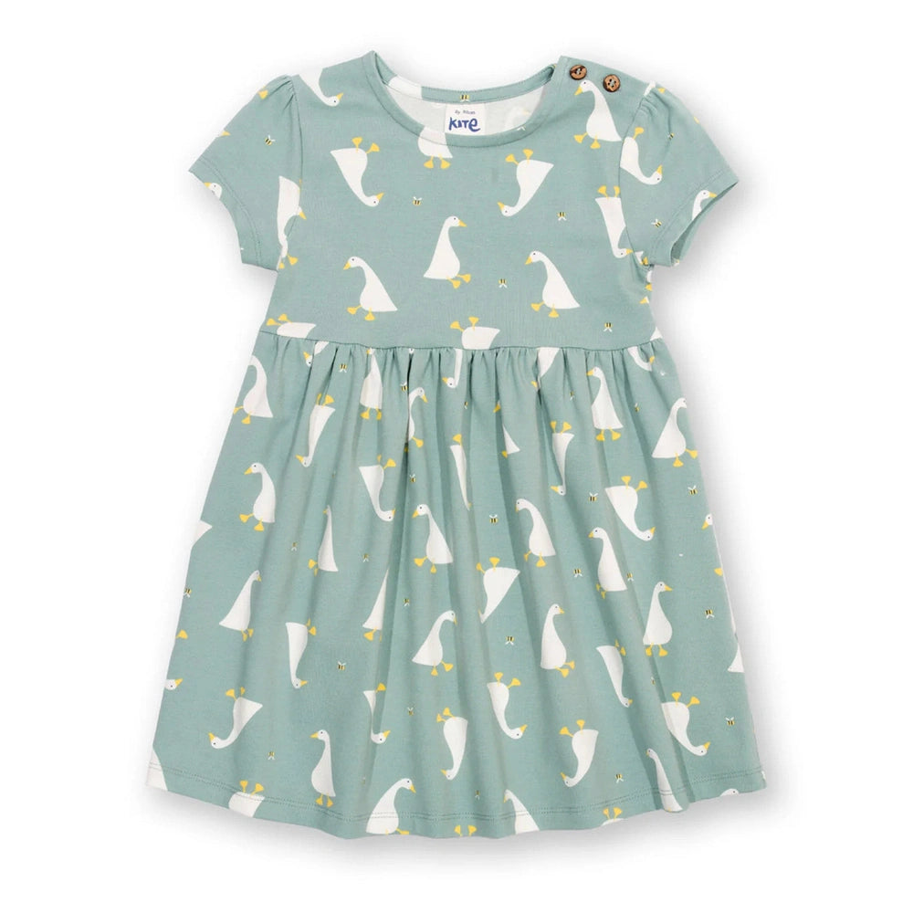 Little Goose Dress 1