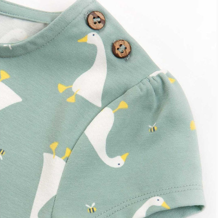 Little Goose Dress 2