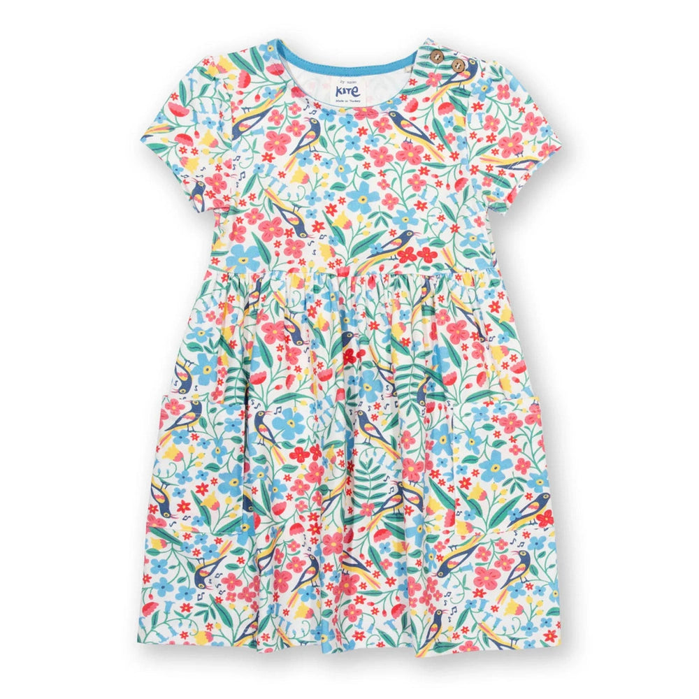 Songbird Dress 1