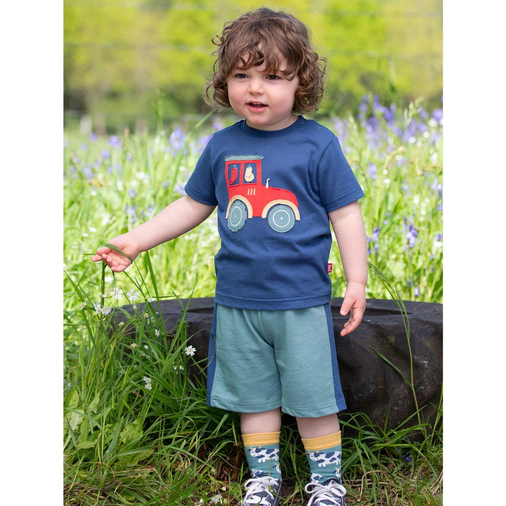 Corfe Shorts - Aloe 2