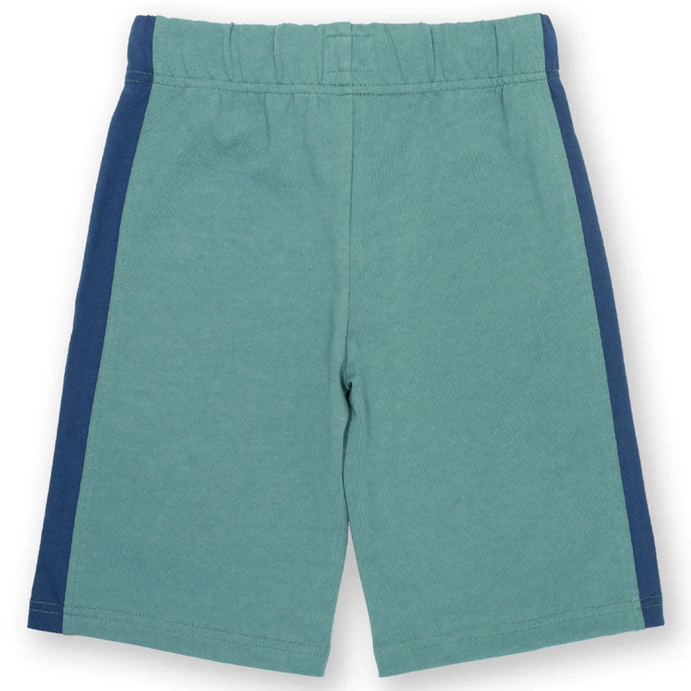 Corfe Shorts - Aloe 4
