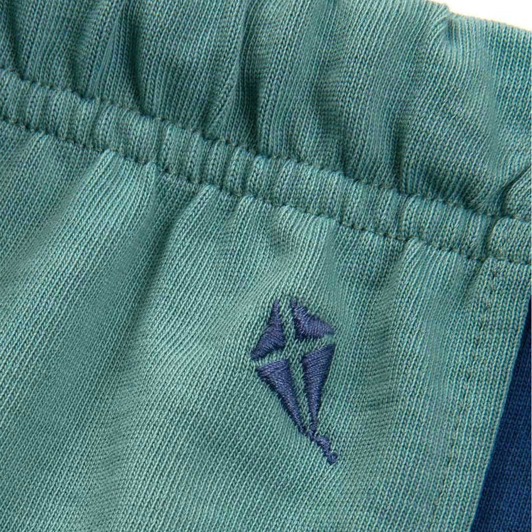 Corfe Shorts - Aloe 3
