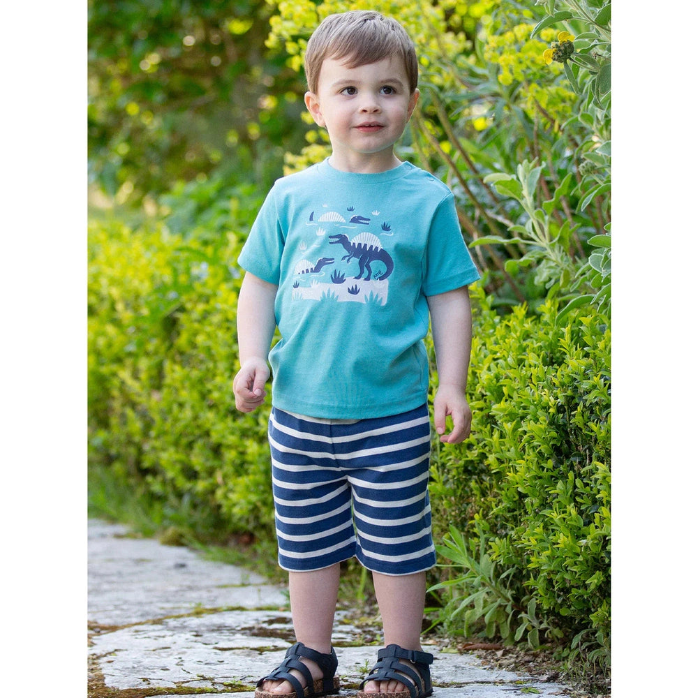 Corfe Shorts - Navy 4