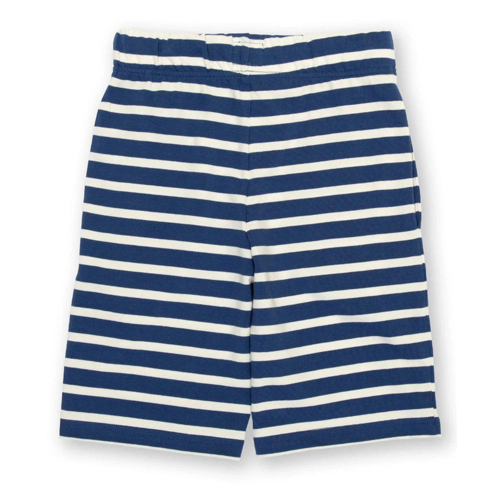 Corfe Shorts - Navy 5