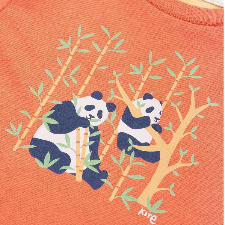 Panda Pals T-Shirt 4