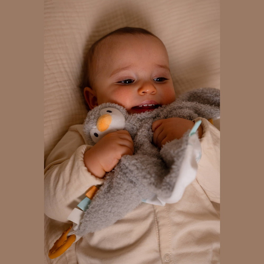 Little Big Friends Martin The Penguin Comforter 2