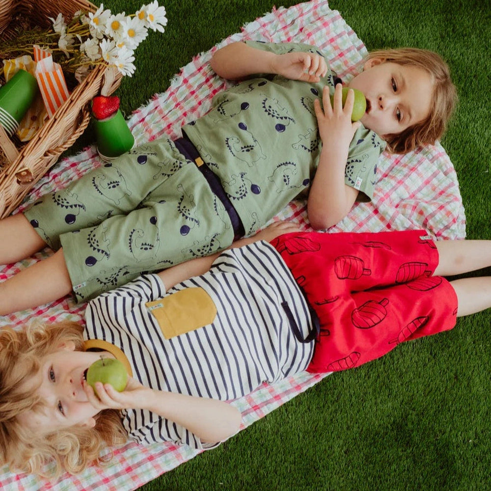 Dizzy Dinosaur Shorts 3