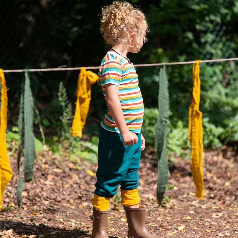 Rainbow Striped Summer Short Sleeve T-Shirt 8