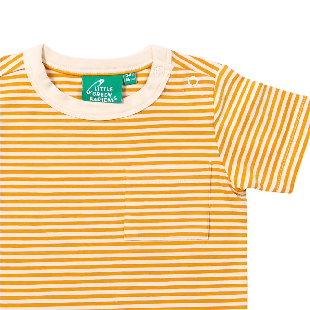 Soft Gold Striped Organic Short Sleeve T-Shirt 6