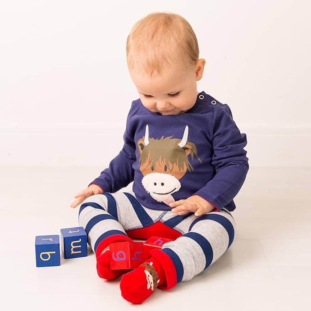 Hamish Highland Cow Applique Top 3