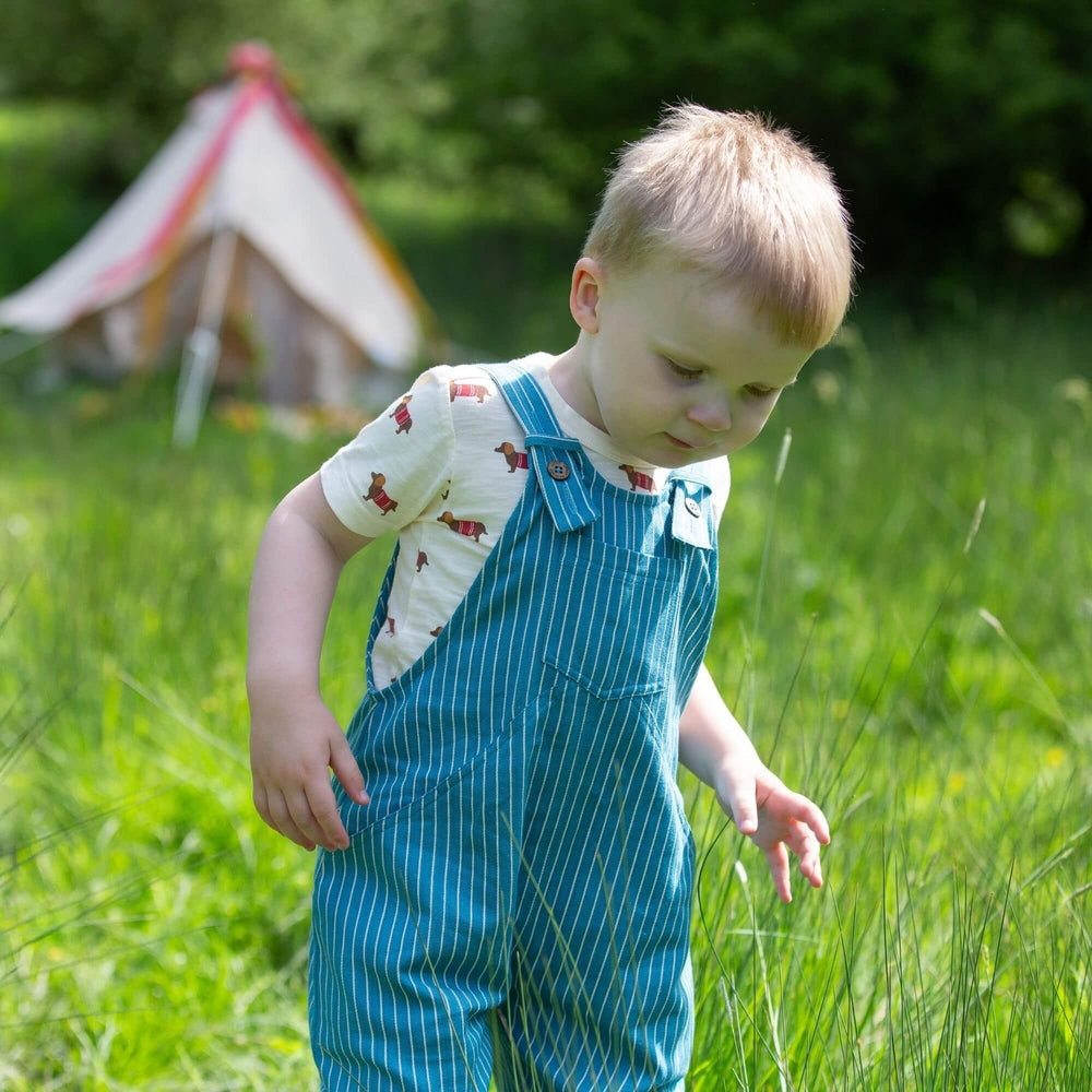 Cream Sausage Dogs Short Sleeve T Shirt 6