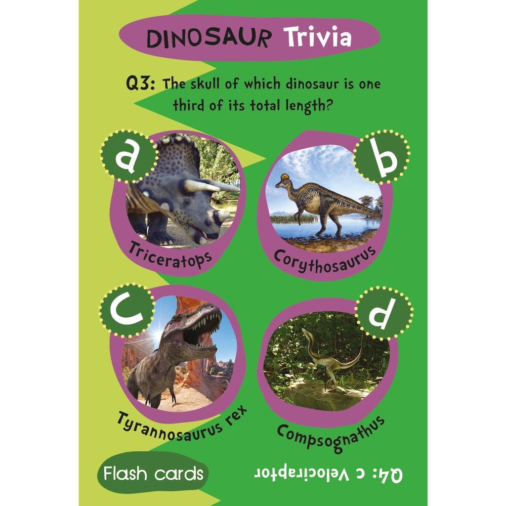 Flash Cards - Dinosaur Trivia 4