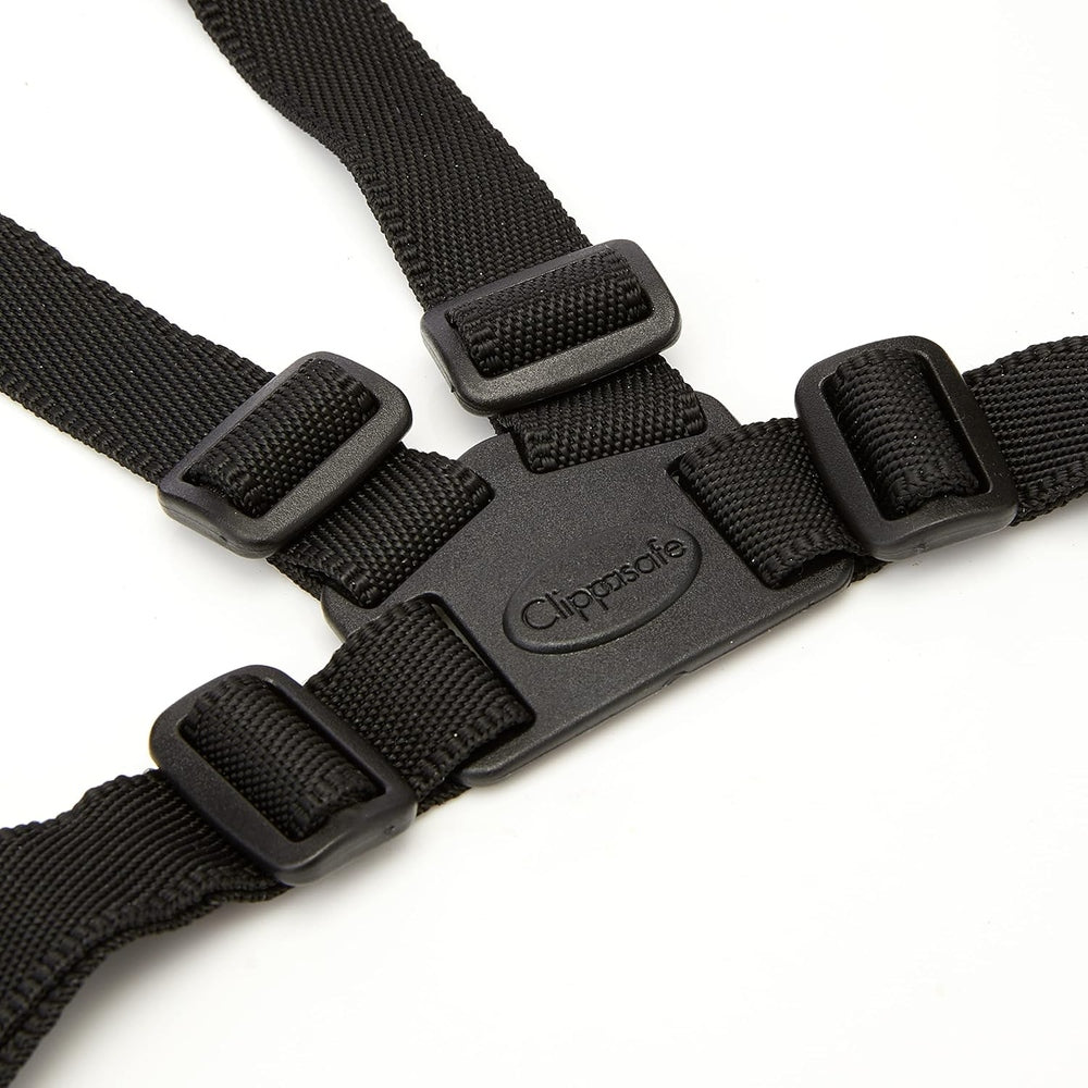 Walking Harness 4
