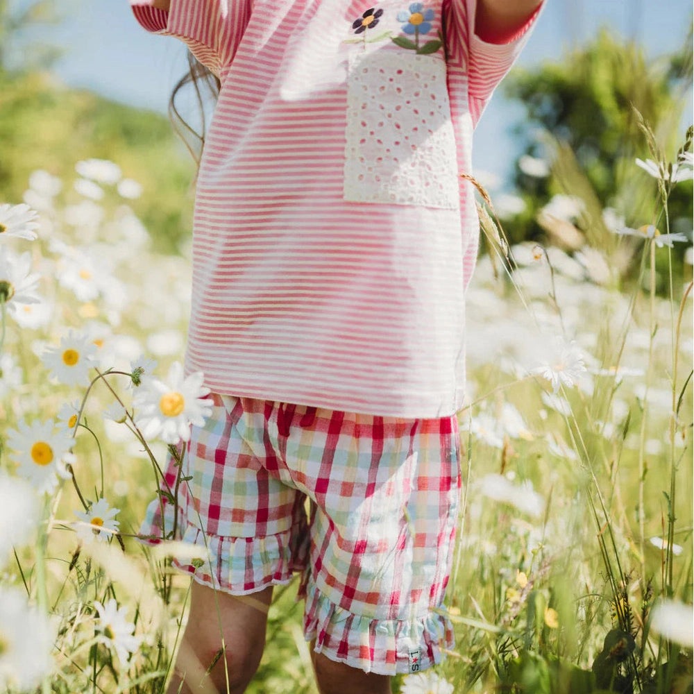 Picnic Check Short 2