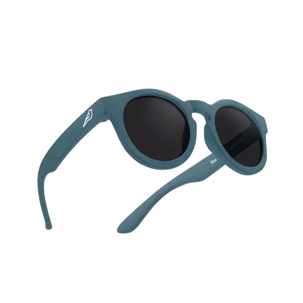 Bird Sunglasses - Ocean Blue 1