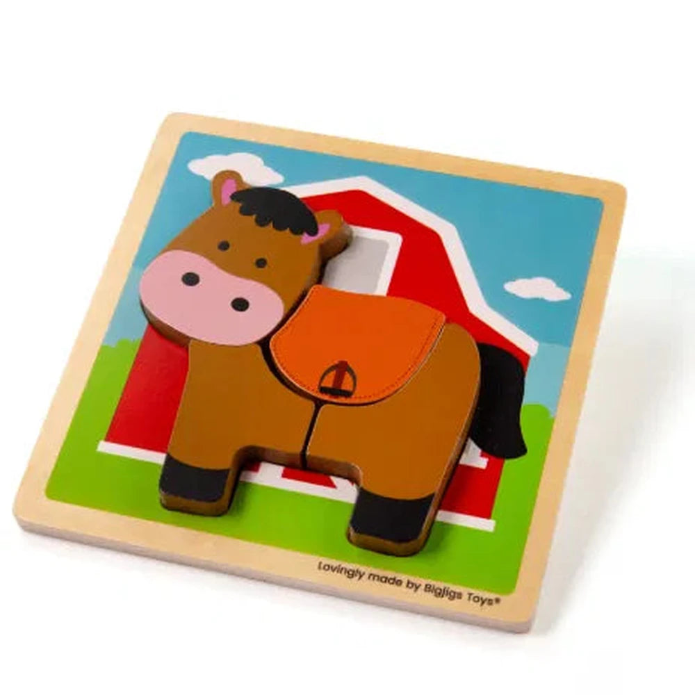 Chunky Lift Out Puzzles 2