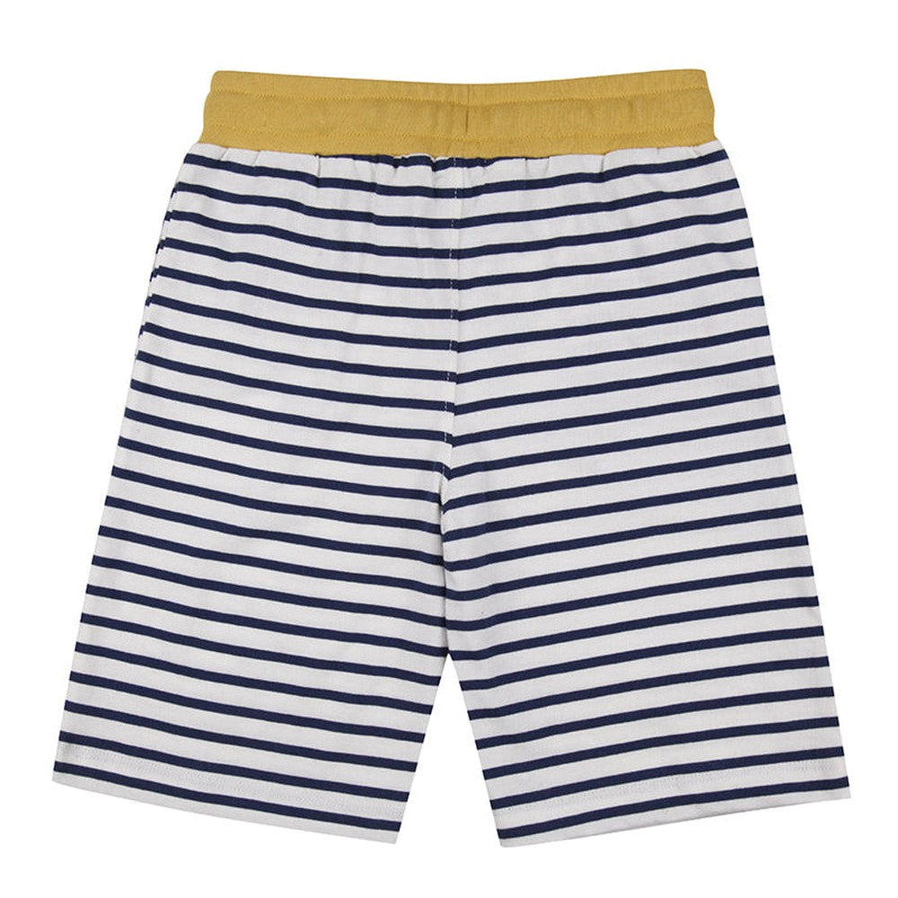 Dizzy Dinosaur/Stripe Shorts 4