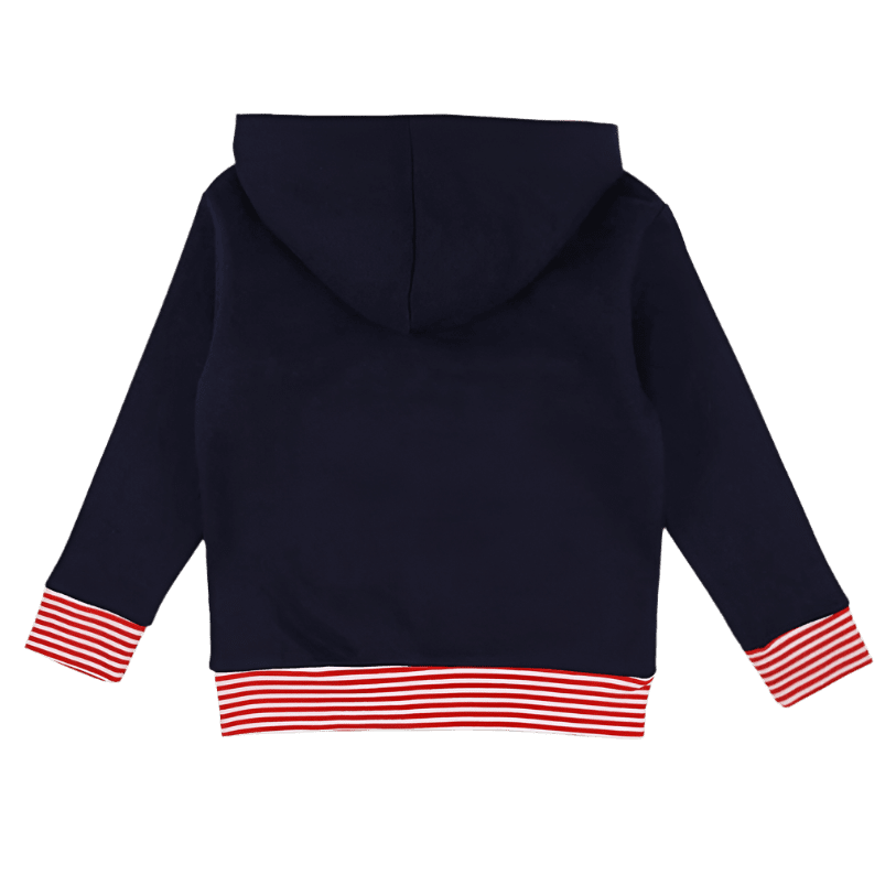 Butterfly Applique Hoodie 2
