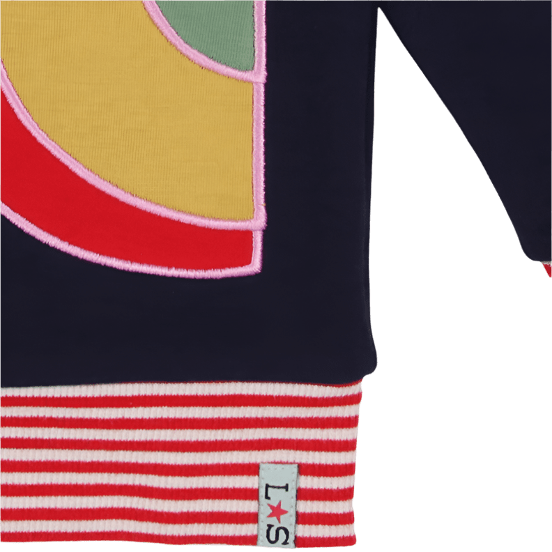 Butterfly Applique Hoodie 3