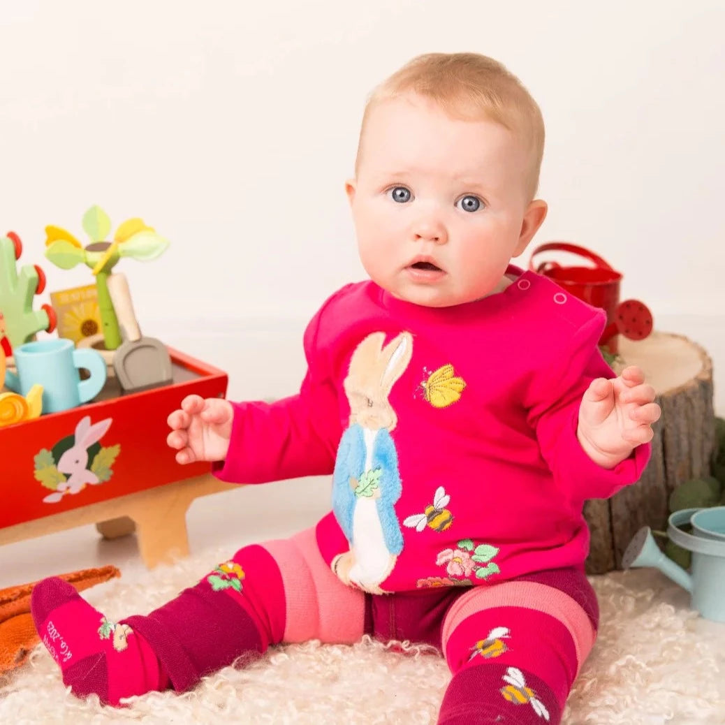 Peter Rabbit Autumn Leaf Applique Top 2