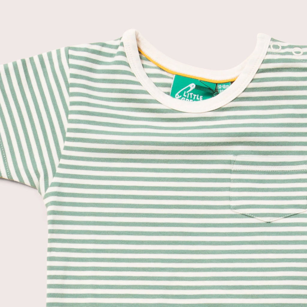 Green Striped T-Shirt 3