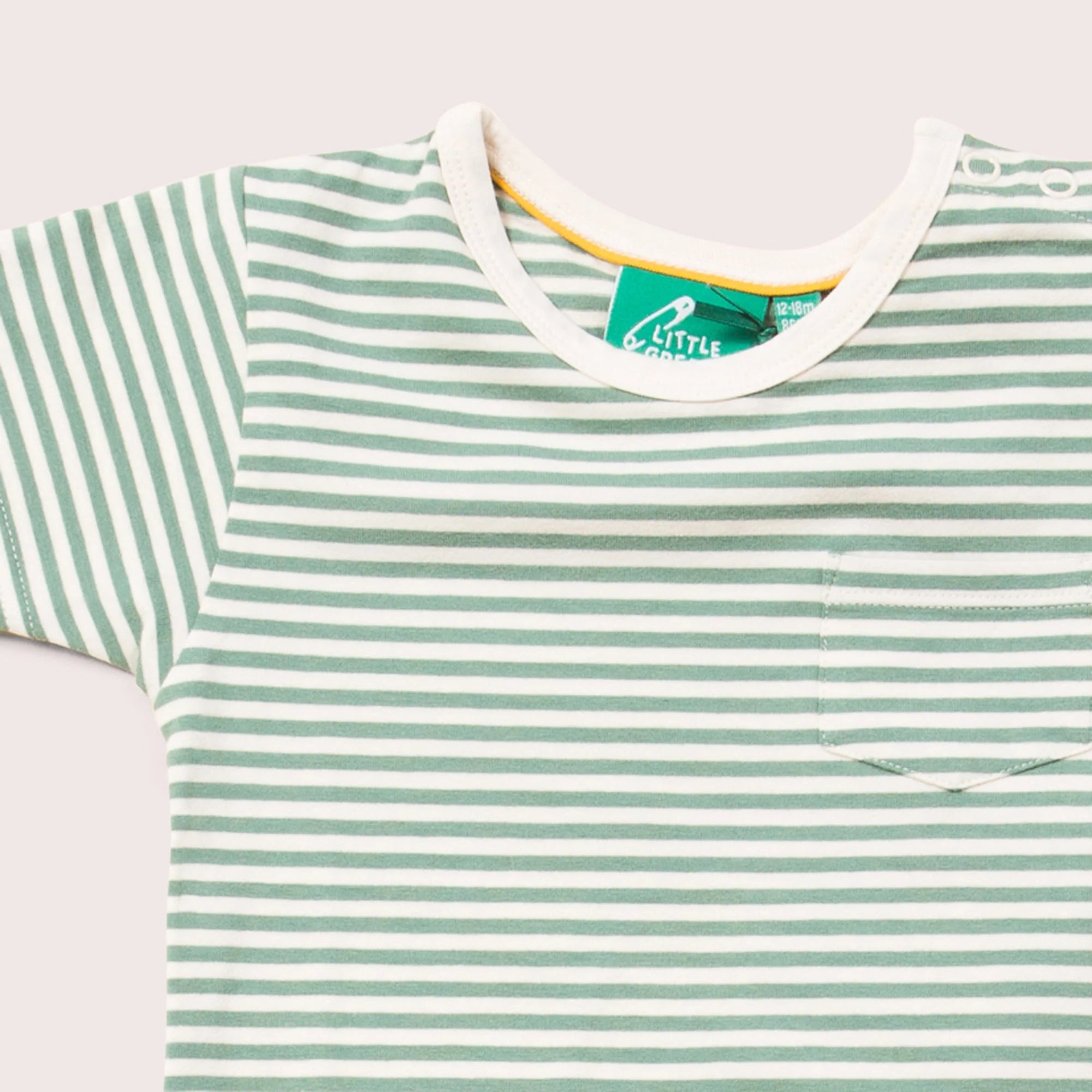 Green Striped T-Shirt 3
