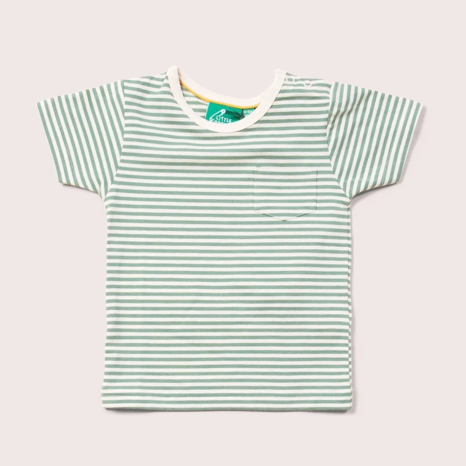 Green Striped T-Shirt 1