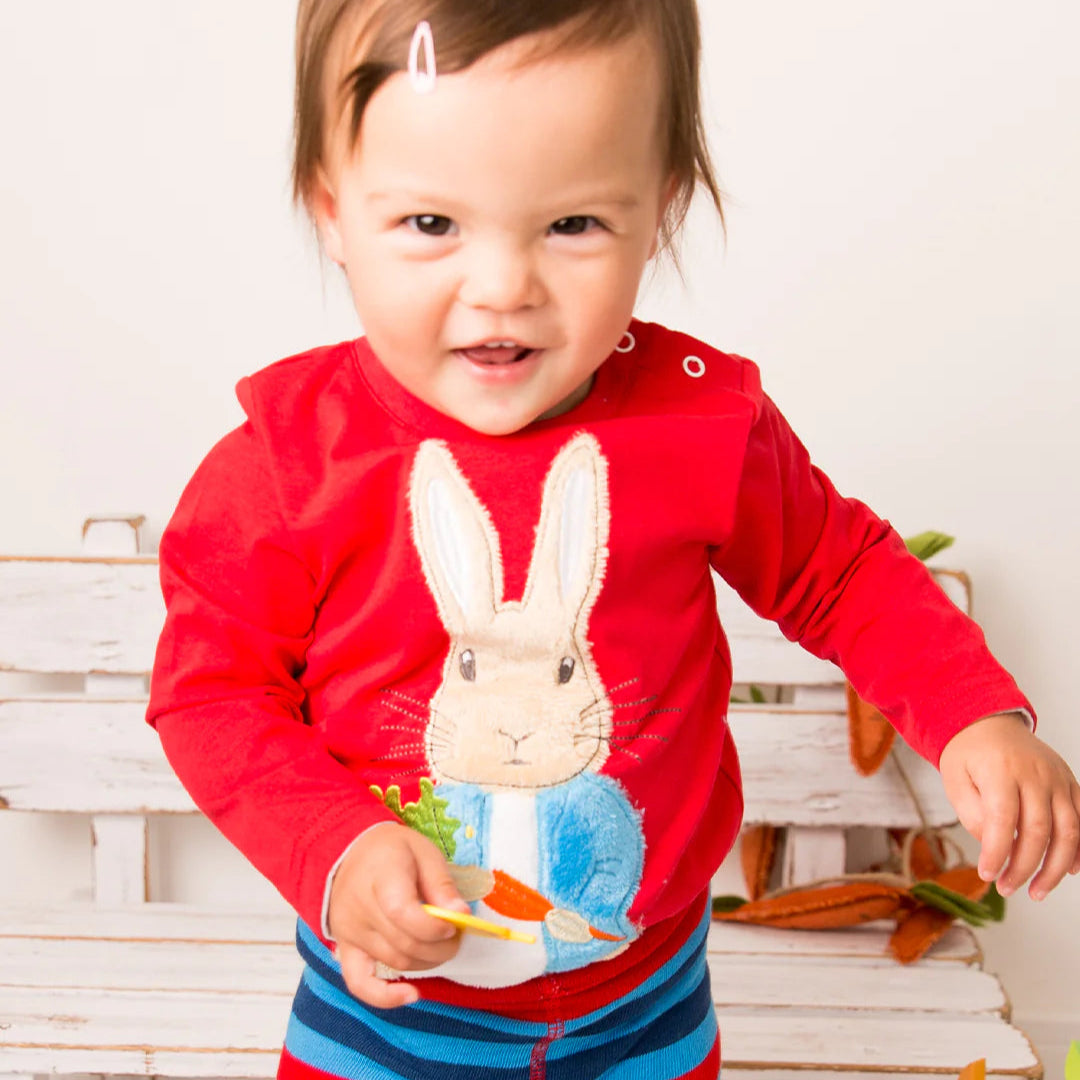 Peter Rabbit Bright Ideas Applique Top