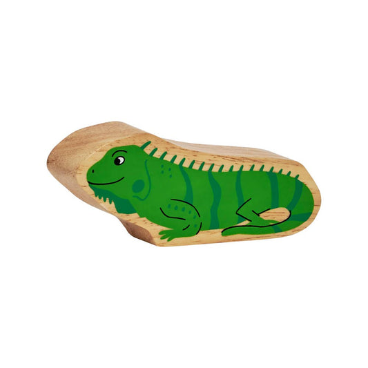 Iguana Figure 1
