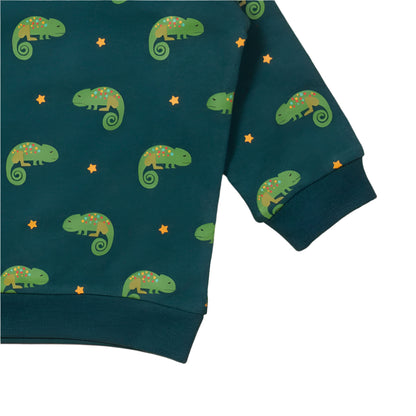 Little Lizard Marl Raglan Sweatshirt 3