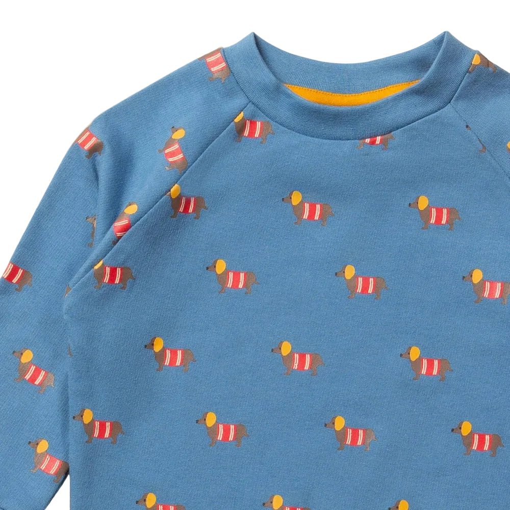 Sausage Dogs Raglan Sweatshirt 4