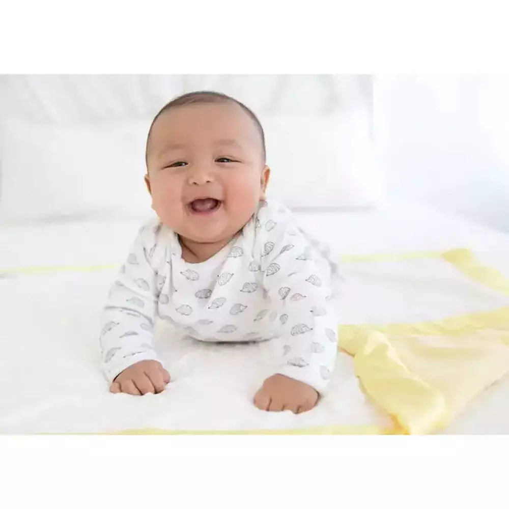 SwaddleDesigns Cotton Gown, Tiny Hedgehogs 