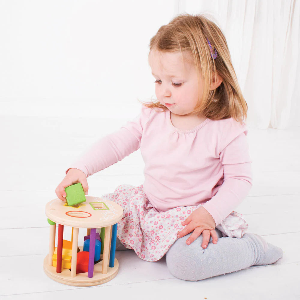 First Rolling Shape Sorter 3