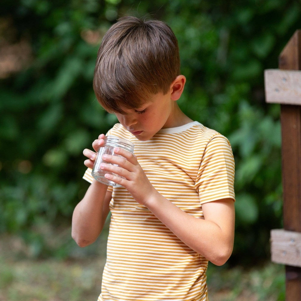 Soft Gold Striped Organic Short Sleeve T-Shirt 3