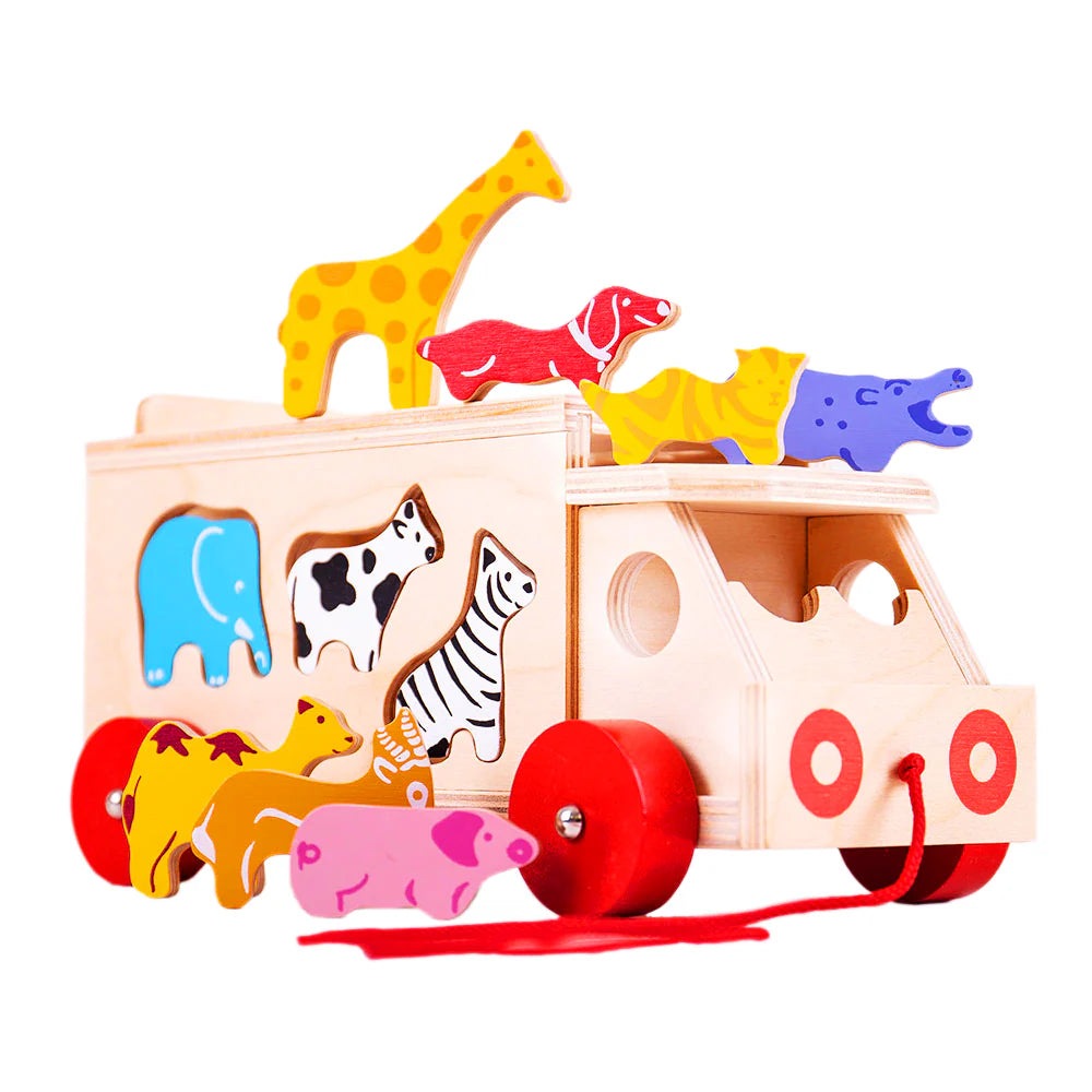 Animal Shape Lorry 1