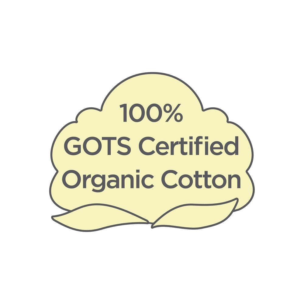 Organic Cotton Bodysuits - Soft Blue, Jadeite, & Sand Dollar 4