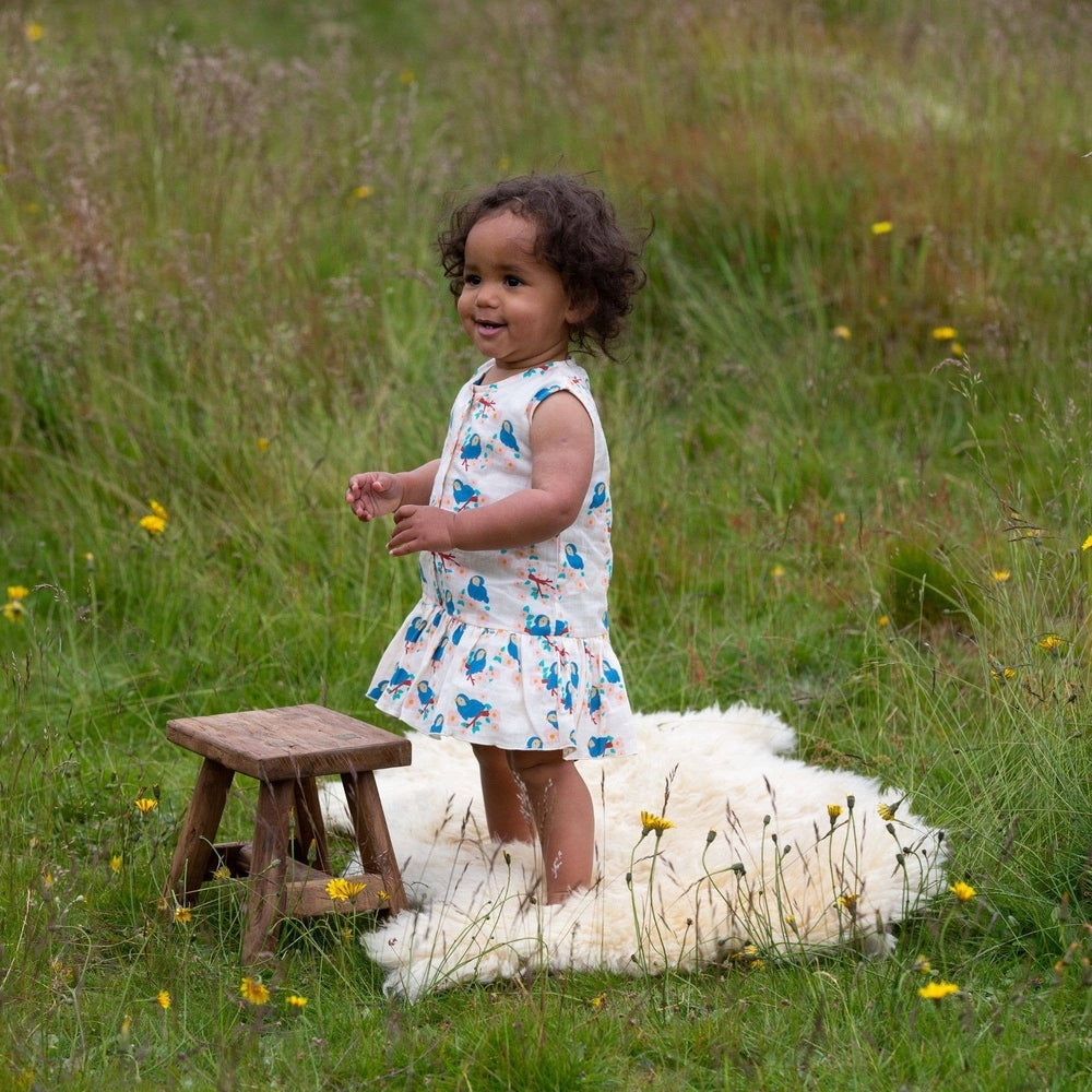 Bluebirds Button Ruffle Romper 3