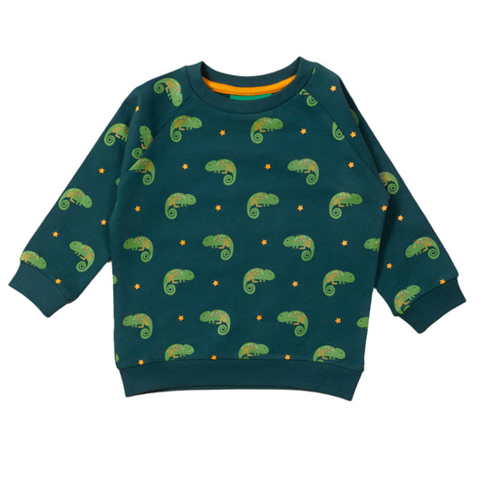 Little Lizard Marl Raglan Sweatshirt 1