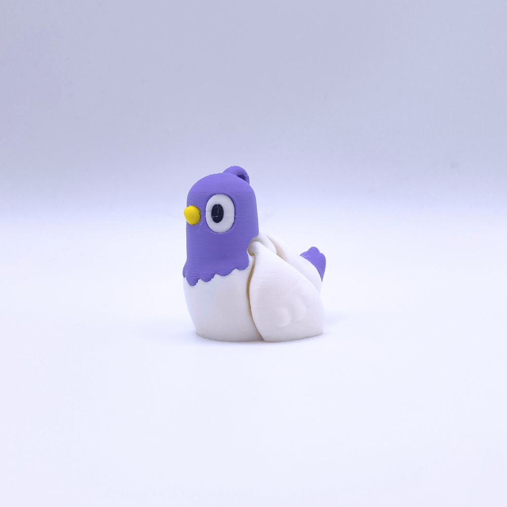 Pigeon 5
