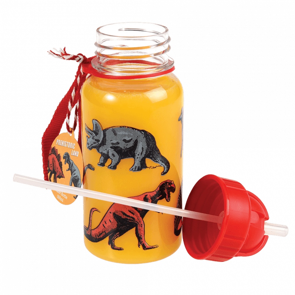 Water Bottle - Prehistoric Land 2