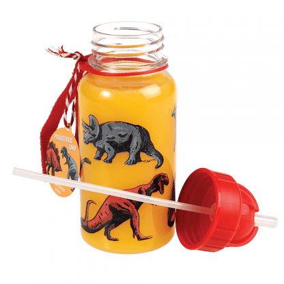 Water Bottle - Prehistoric Land 2