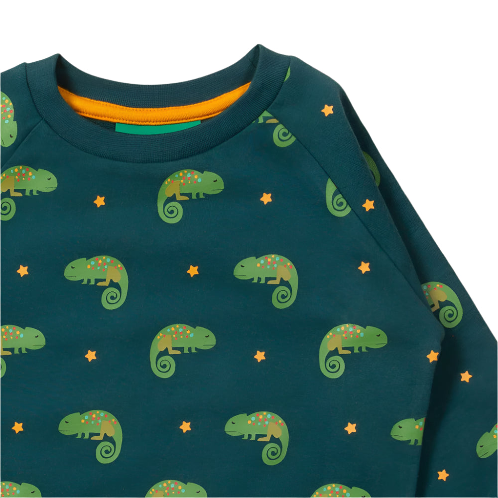 Little Lizard Marl Raglan Sweatshirt 2